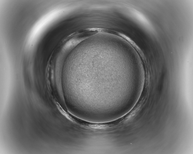 X0000085740862200703161026