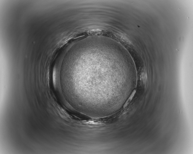 X0000085740868200703161026