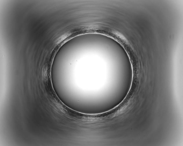 X0000085740873200703161026