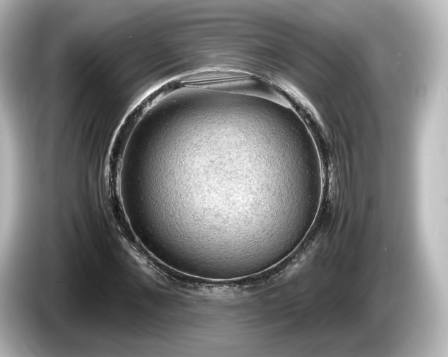 X0000085740876200703161026