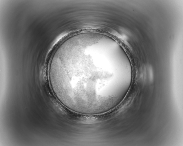 X0000085740878200703161026