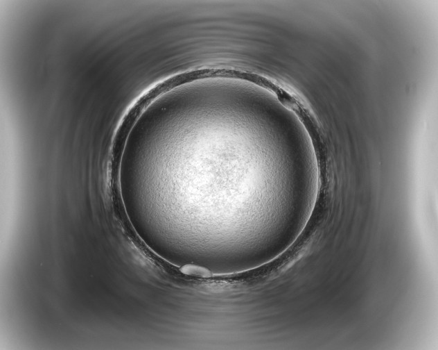 X0000085740880200703161026