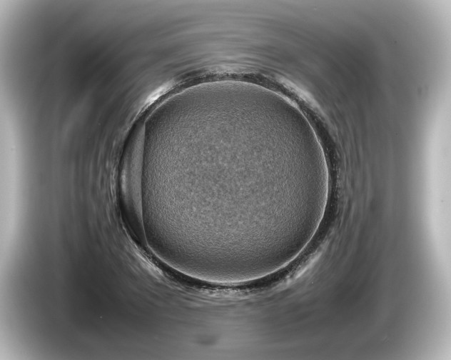 X0000085740881200703161026