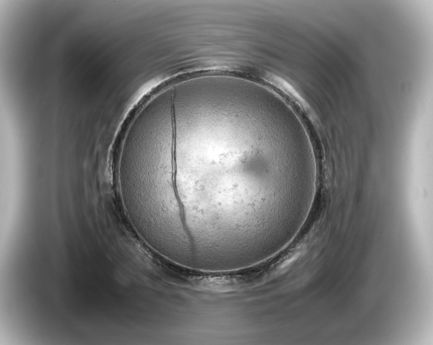 X0000085740883200703161025