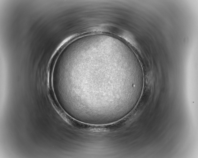 X0000085740886200703161025