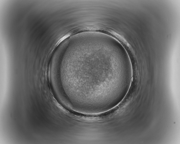 X0000085740889200703161025