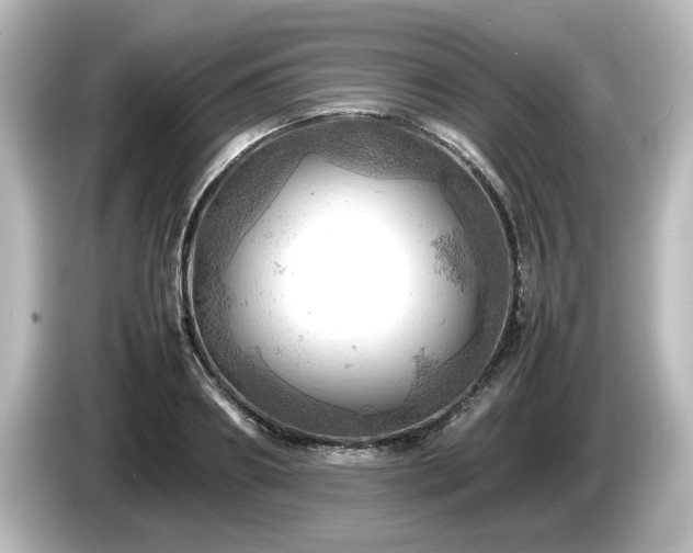 X0000085740890200703161025