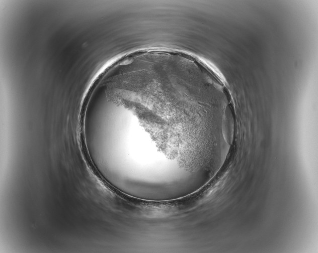 X0000085740895200703161025