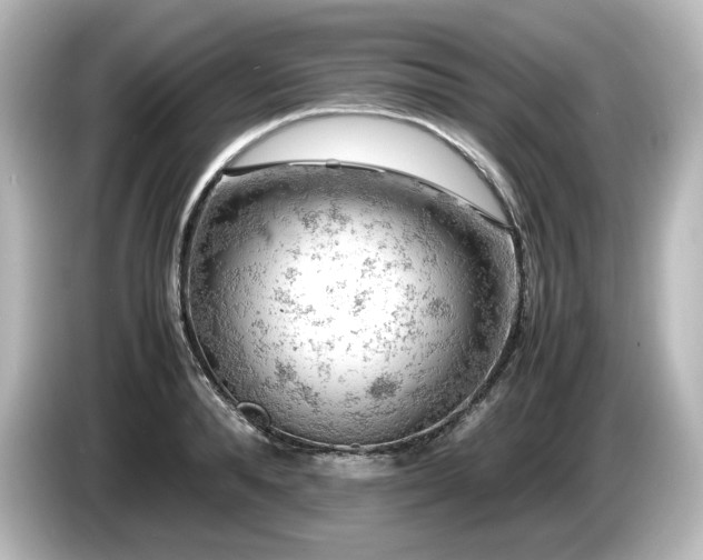 X0000085740896200703161025