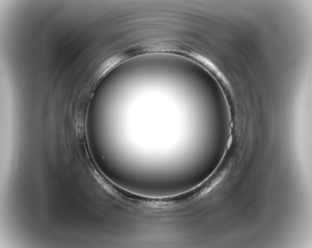 X0000085740897200703161025