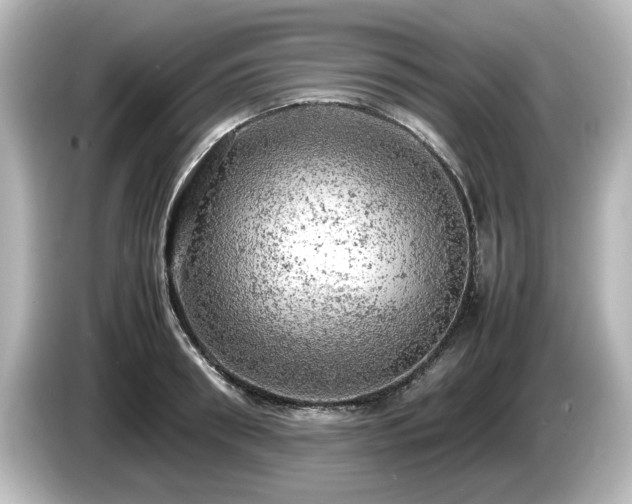 X0000085740898200703161025