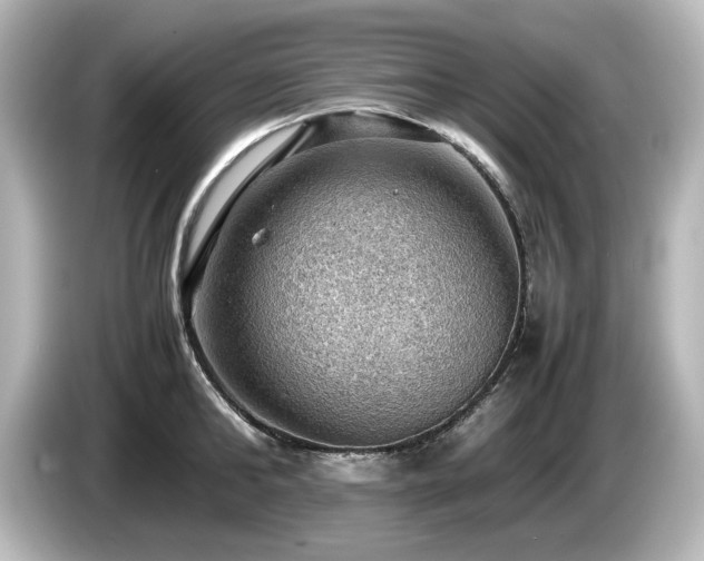 X0000085740902200703161025