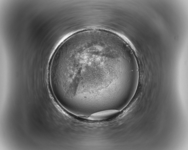 X0000085740903200703161025