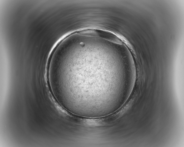X0000085740904200703161025