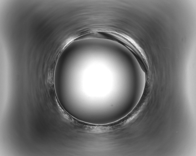X0000085740905200703161025