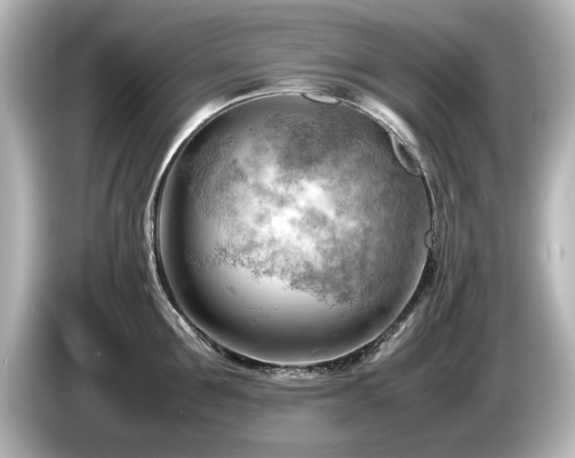X0000085740907200703161025