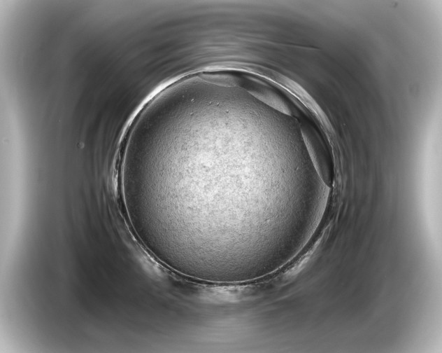 X0000085740908200703161025