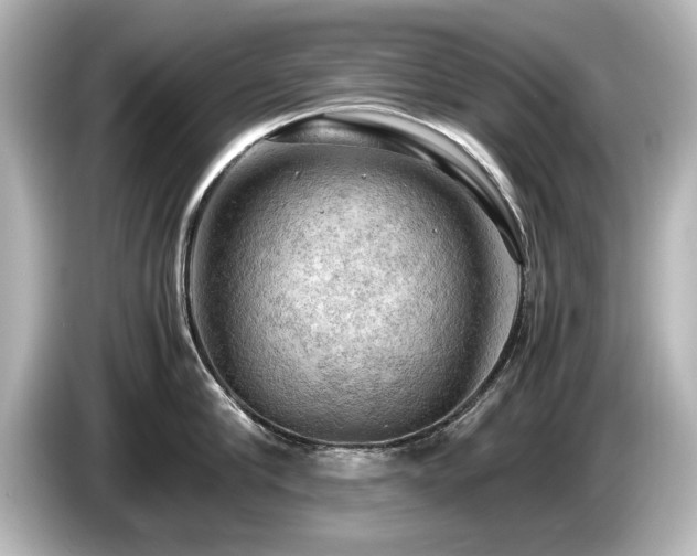 X0000085740910200703161025