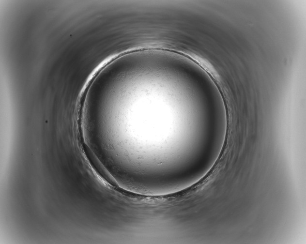X0000085740912200703161025