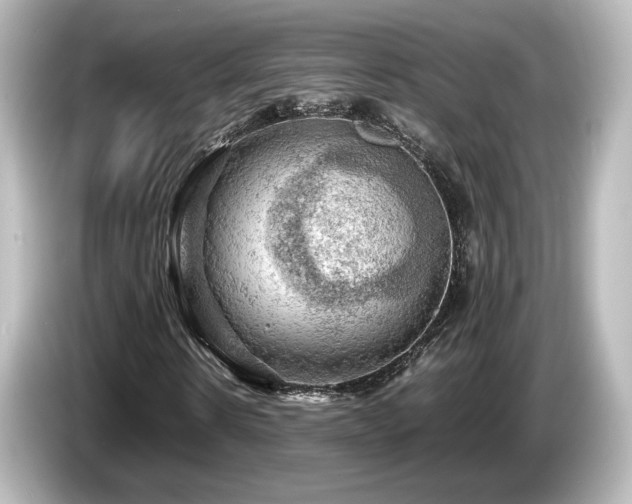 X0000085740914200703161024