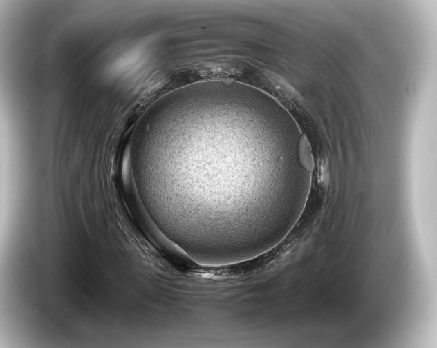 X0000085740915200703161024
