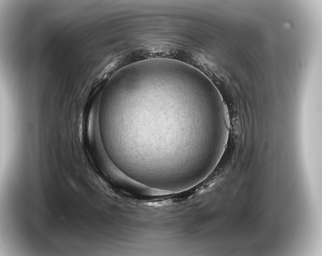 X0000085740916200703161024