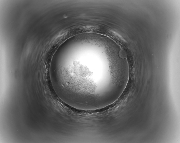 X0000085740917200703161024