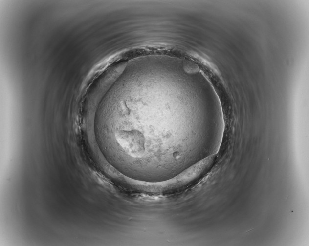 X0000085740920200703161024
