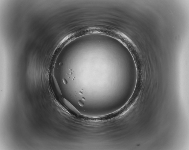 X0000085740921200703161024