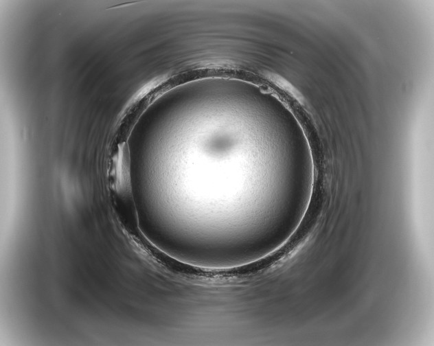 X0000085740922200703161024