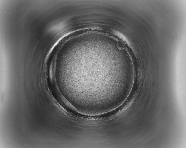 X0000085740923200703161024