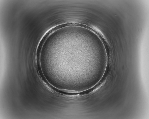 X0000085740924200703161025
