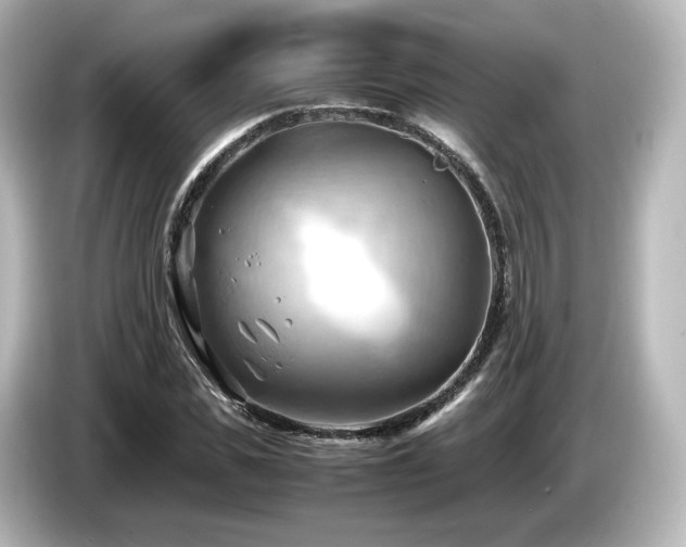 X0000085740925200703161025