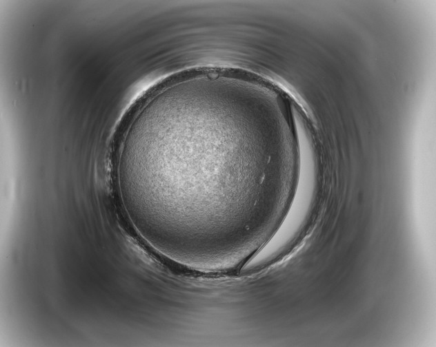 X0000085740926200703161025