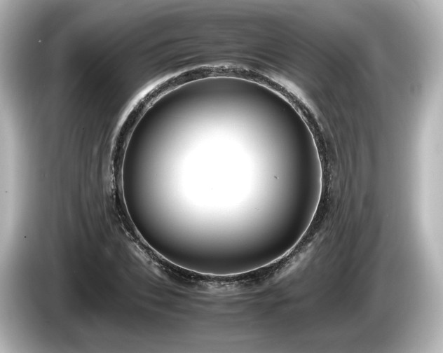 X0000085740927200703161025