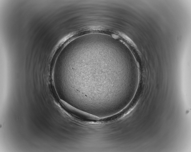 X0000085740930200703161025