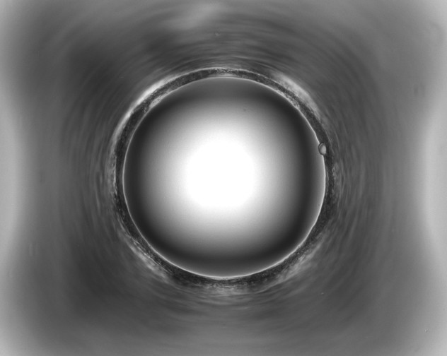 X0000085740931200703161025