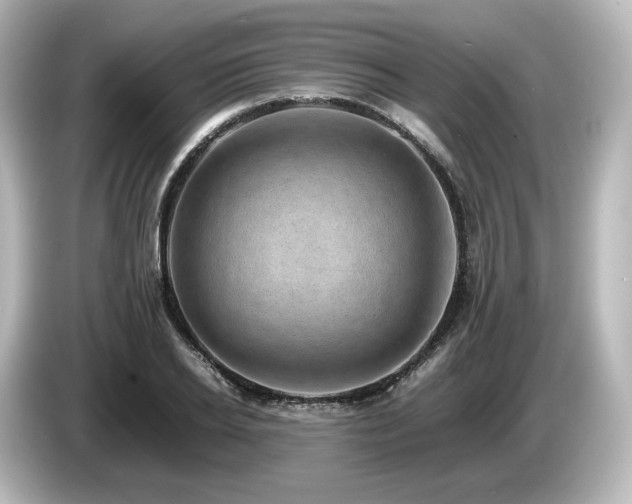 X0000085740934200703161025