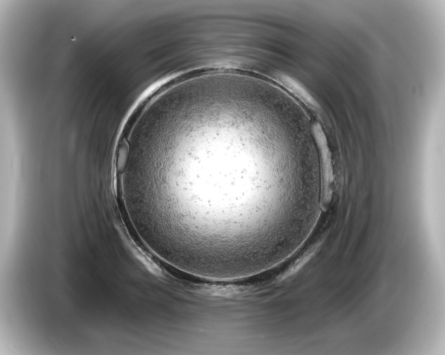 X0000085740940200703161025