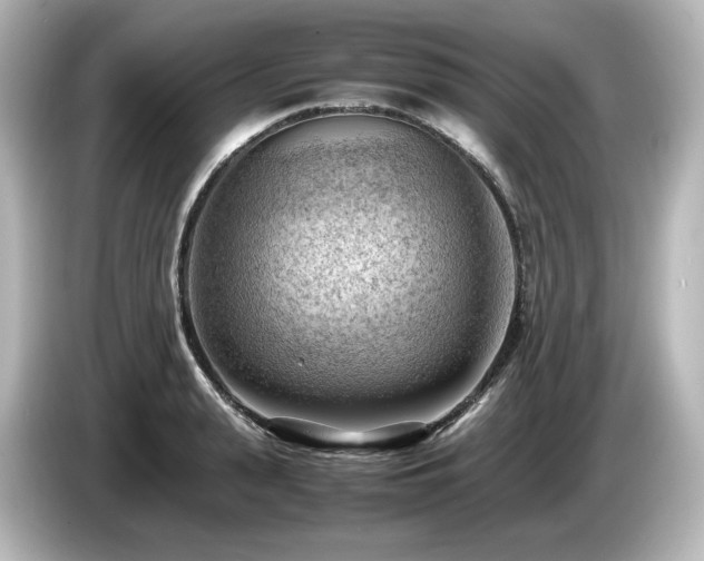 X0000085740943200703161025
