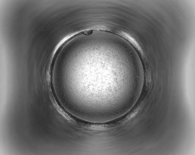 X0000085740944200703161025