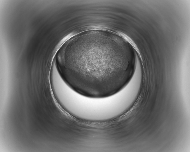 X0000085740946200703161025