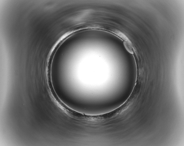 X0000085740947200703161025