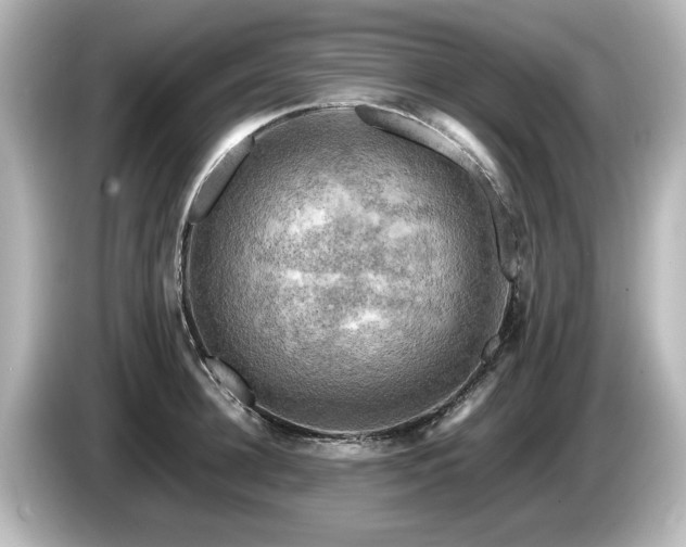 X0000085740948200703161025