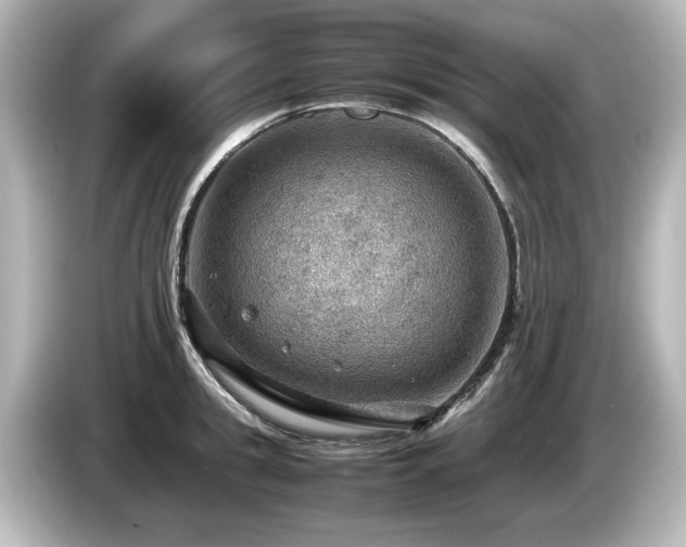 X0000085740949200703161025