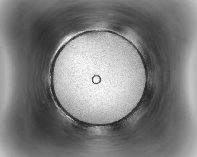 X0000085740950200703161025