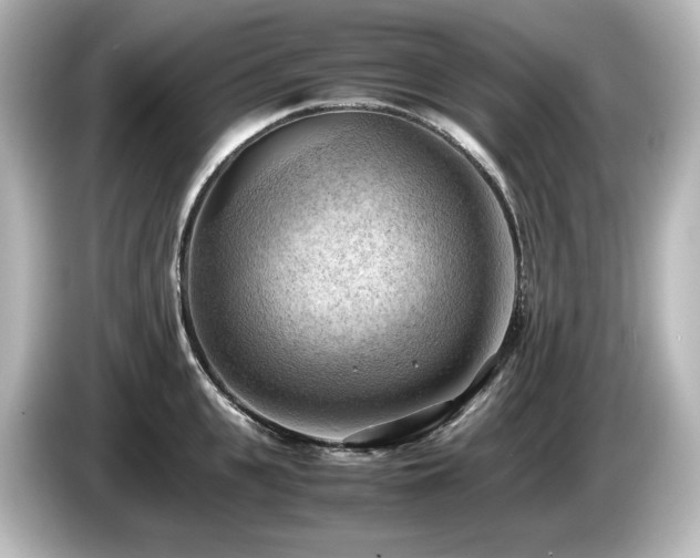 X0000085740951200703161025