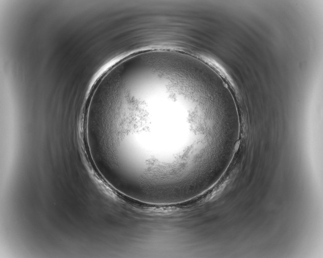 X0000085740952200703161025