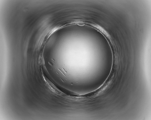 X0000085740953200703161025