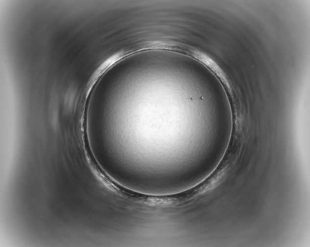 X0000085740954200703161025